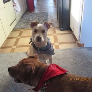 Meet your Posher, Jamie